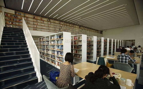 看完這些天津人的好消息，長假回來也開心了——聚焦信息技術咨詢服務新機遇